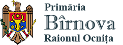 Website Logo